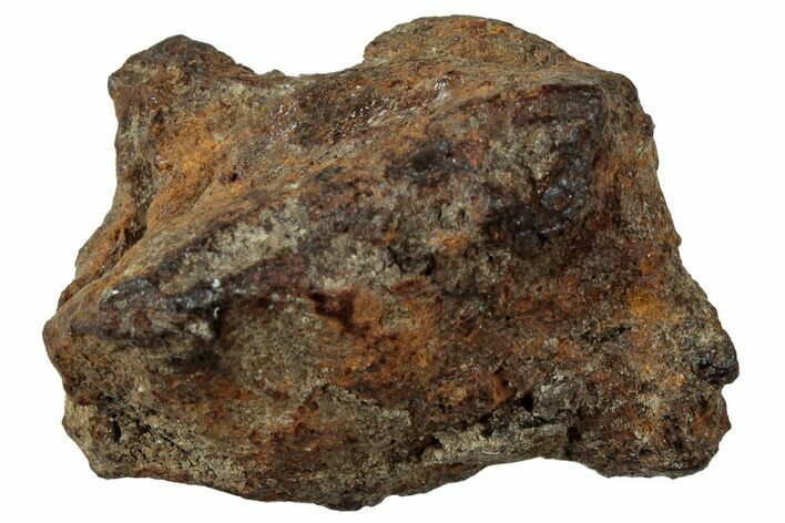 Whitecourt Iron Meteorite ( g) - Alberta, Canada #312851